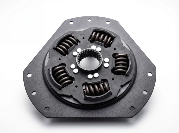 Amortyzator sprzęgła SAME Rubin / Rubin Galileo / Titan / Silver / Iron | OEM SAME 0.008.5394.3/20
